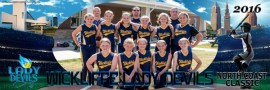 Wickliffe Lady Devils